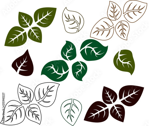 Cuadros en Lienzo Green basil leaf. Icons isolated on white