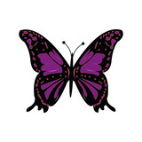 Fototapeta Motyle - Butterfly Isolated vector. Botanical illustration. Universal templates for invitation or packaging, scrapbooking.