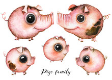 Picture Of A Five Pigs Family Members In White Background. Watercolor Hand Painted Illustration