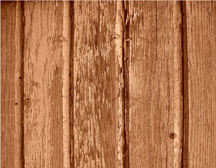 the wooden old peeled boards. texture from a tree. are brown a background.