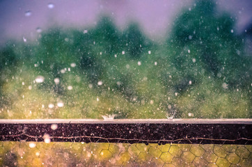 Wall Mural - Falling rain and splashing drops outside. Storm on a sunny day, beautiful light and wonderful colors.