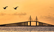 Sunshine Skyway Bridge / The Sunshine Skyway Bridge near Tamps, Florida