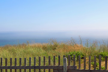 Wall Mural - Ocean landscape with field and fence