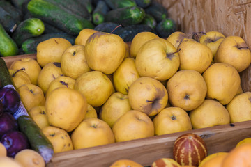 Apples on the counter in the supermarket. In the background, buyers choose fruit