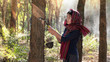 woman  in rubber plantation