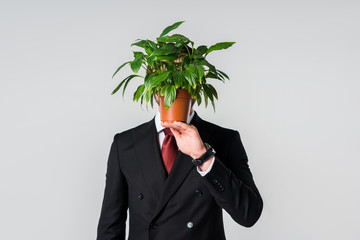 obscured view of businessman in suit with green plant in flowerpot isolated on grey