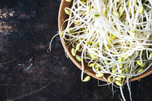 Mung bean sprouts on rustic background