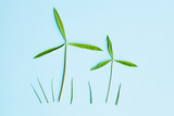Fototapeta  - two windmills made of fresh green leaves on blue background, top view, flat lay