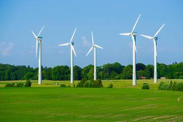 Wall Mural - windmill type wind electricity generator in the field in latvia in summer