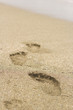 Human Feet Prints In Sand On The Beach On Corsica 