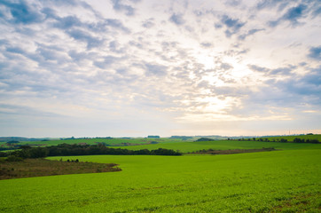 Beautiful landscape of green field and cloudy sky