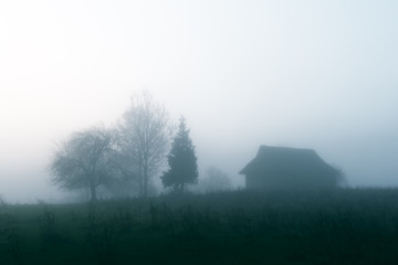 Wall Mural - mountain valley during sunrise. alone house on autumn foggy meadow. carpathian mountains, landscape 