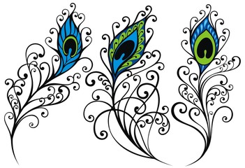 Sticker - Peacock feather set for your design.