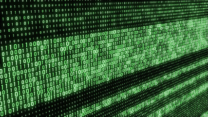 Wall Mural - abstract technology binary code background. computer code. digital flow. big data and programming ha