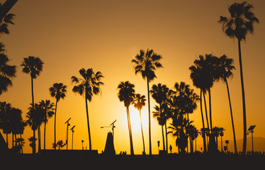 gold sunset with palm trees