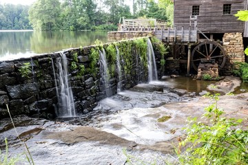  Green foliage growing on the dam with the flume and waterwheel in view at Historic Yates Mill County Park in Raleigh North Carolina