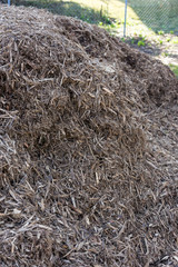 pile of wood shavings in garden