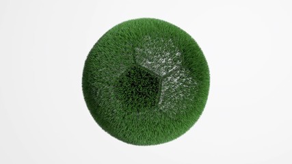 football is growing grass