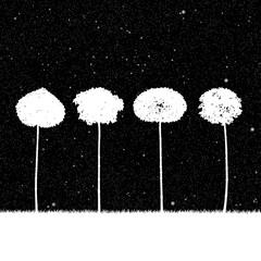 Canvas Print - Landscape with trees at night. Vector illustration with isolated silhouettes of maples growing in grass under starry sky. Inverted black and white