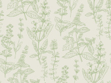 Hand Drawn Herbal Sketch Seamless Pattern For Surface Design