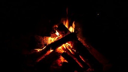 campfire burning nice in the dark. firewood in the fire and flames. slow motion