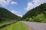 Fototapeta Na ścianę - road in the mountains among green trees