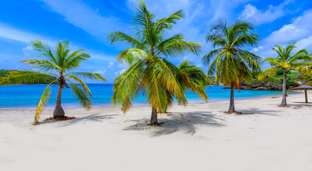 Galleon Beach on  Caribbean island Antigua, English Harbour, paradise bay at tropical island in the Caribbean Sea