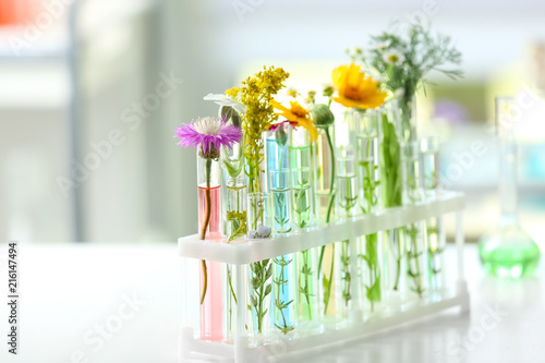 Test tubes with plants in holder on blurred background