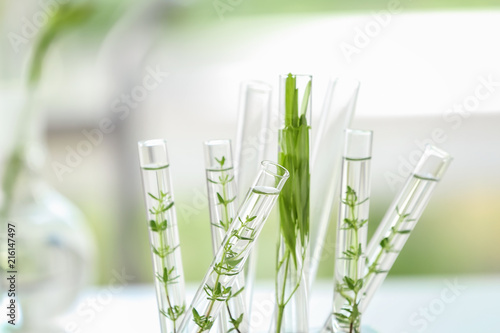 Test tubes with plants on blurred background