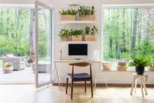Zen Home Office With Computer In A Beautiful, Spacious Living Room Interior With Plants And An Outside View Through Big Windows