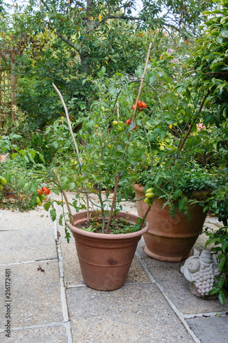 Jardin Pot