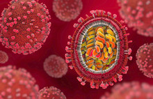 3d Illustration Of A Scientifically Correct Representation Of A Flu Pathogens In Cross Section