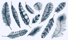 Set Of Rustic Realistic Feathers Of Different Birds, Owls, Peacocks, Ducks. Engraved Hand Drawn In Old Vintage Sketch. Vector Illustration.