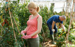 © JackF - Woman with husband checking tomato plants