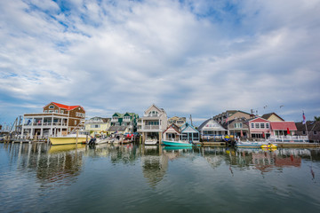 Canvas Print - Cape May Harbor, in Cape May, New Jersey.