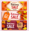 © AmazeinDesign - Autumn sale vector banner design set with colorful maple leaves elements in background and discount text for fall season shopping promotion. Vector illustration.