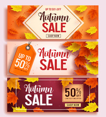 Wall Mural - Autumn sale vector banner design set with colorful maple leaves elements in background and discount text for fall season shopping promotion. Vector illustration.
