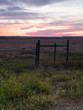 © tloventures - Yellow Wildflowers in a rural field with a wood fence in the foreground and a brilliant orange and blue sunset above.