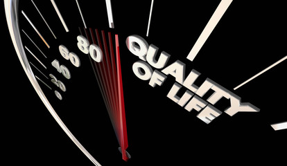 quality of life enjoy comfortable lifestyle speedometer word 3d illustration