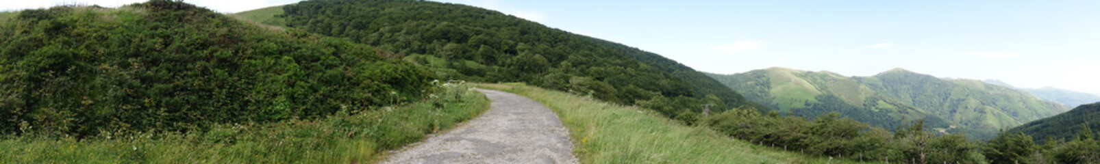 The road to Santiago between Valcarlos and Roncesvalles