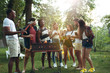 © master1305 - Group of friends making barbecue in the backyard. concept about good and positive mood with friends