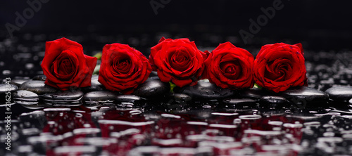 Still life with row of five red rose and wet stones Lerretsbilde