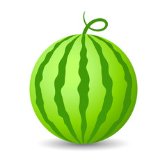 Canvas Print - Water melon vector icon