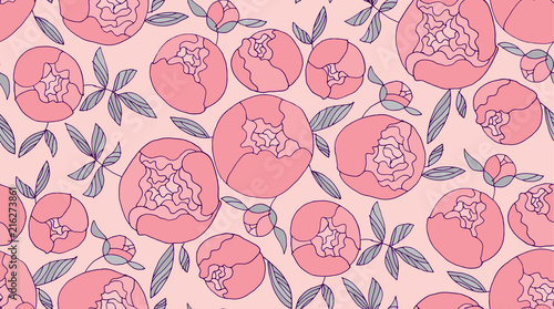 Tender pink round peony flo...