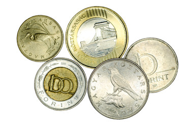 Wall Mural - Different Hungarian forint coins.