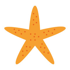 Poster - starfish animal beach icon vector illustration design