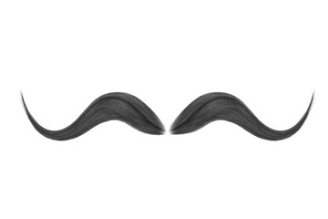 Wall Mural - Black mustache isolated on white background