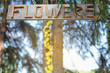 Word FLOWERS made of dry branches on the wooden sign