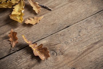 Wall Mural - Autumn. Dry leaves on wooden