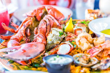 Macro closeup of whole lobsters in shell and seafood platter on plate with tartar sauce, garlic butter, shrimp tempura, crab meat, lemon, drinks, food